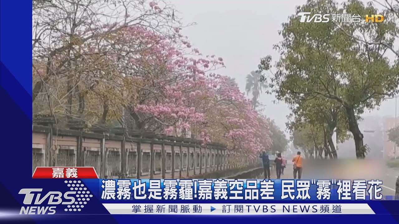南部霧茫茫！空品紫爆　氣象局：周三緩解