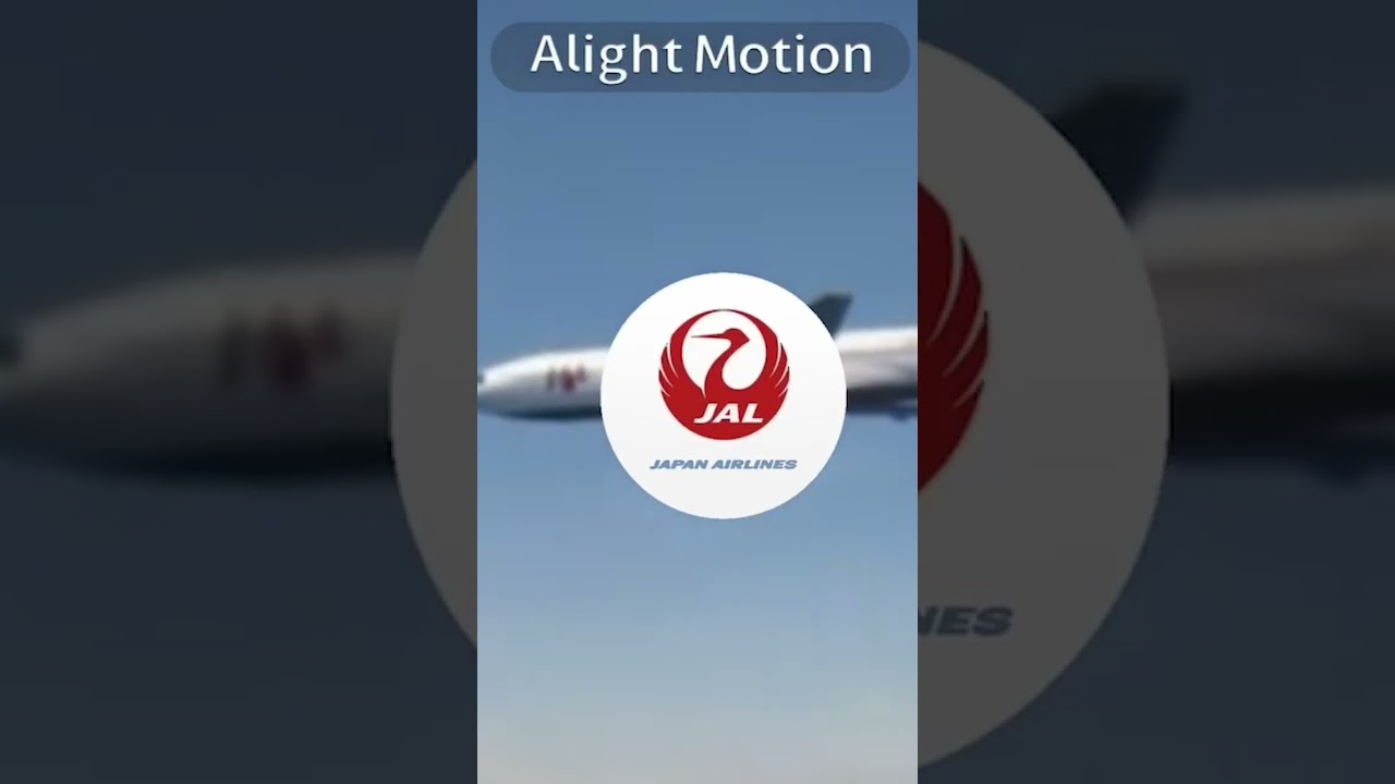 せいじが作ったアライト作品