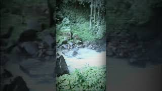 preview picture of video 'Keren abis!!! Wisata Di Sumatera Utara-Air Terjun Sikulikap'