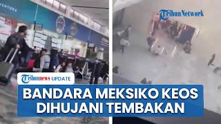 Anggota Kartel Ngamuk seusai Bos El Mencho Tewas, Bandara Guadalajara Dihujani Tembakkan