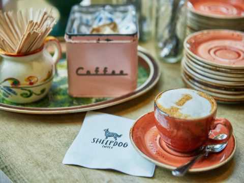 Graduate Charlottesville - Charlottesville (Virginia) - United States