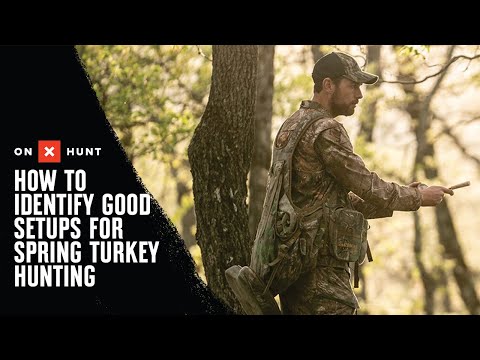 Identify Good Turkey Setups