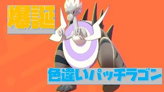 パッチラゴン ポケットモンスター オムスター オオスバメ ヨワシ