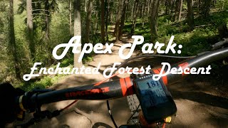 Apex Park | Enchanted Forest Descent