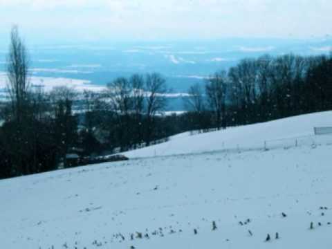 MicheMalou - "Still, Still, Still"