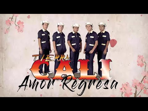 AMOR REGRESA - TIERRA CALI (Letra Oficial)