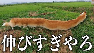【衝撃】パノラマ撮影のおもしろ失敗集がツッコミどころ満載すぎるwwwwww