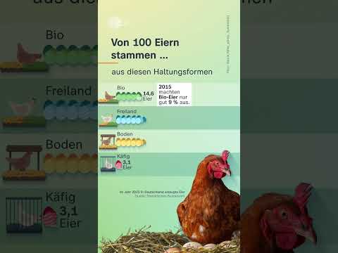 Video Thumbnail: Woher kommt dein Frühstücksei? | #shorts #short #ostern