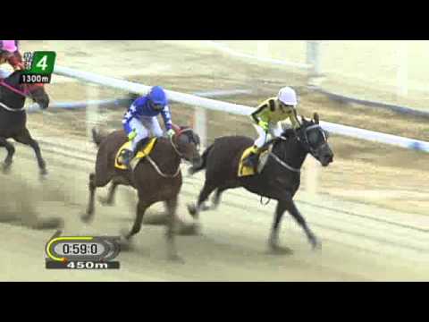 Secret Whisper 3rd win. (12/12)