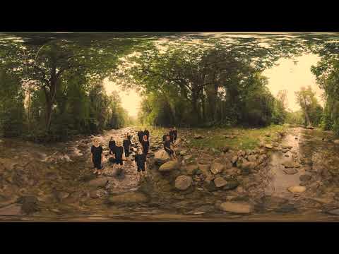 Spinifex Gum - Marliya 360