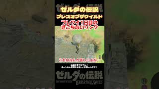 発売から9年目に目覚めたリンクがぎこちなかった【ゼルダの伝説ブレスオブザワイルド】#ブレワイ＃ゲーム実況
