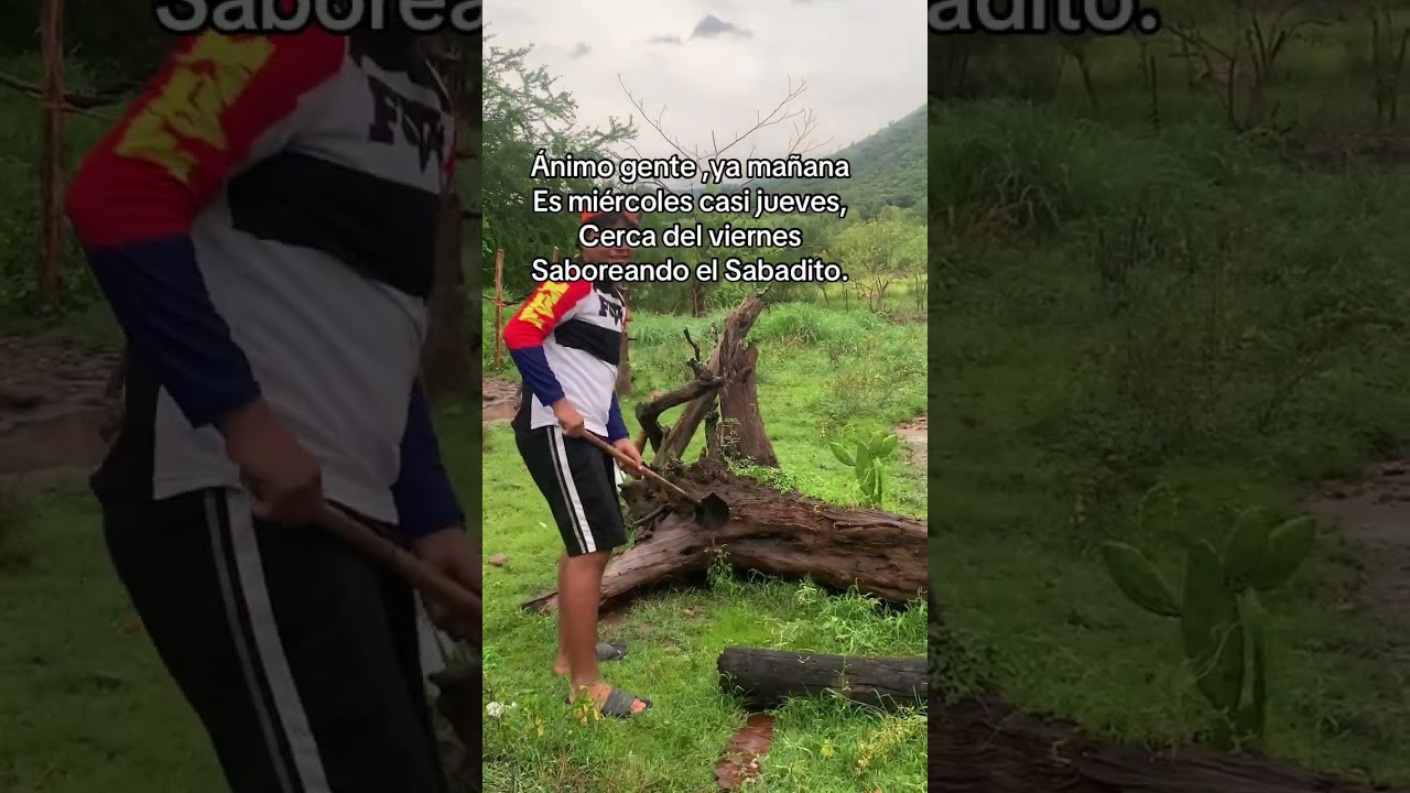 Consejo para ti #humor #tiktok #comedy #viral #shorts #short #video #parati #youtube #memes #reels