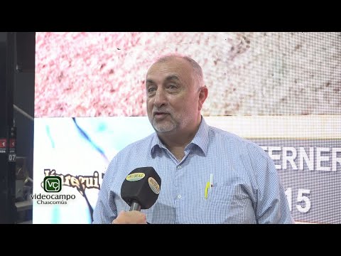 Jáuregui Lorda - Atilio Panaccio