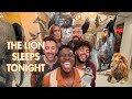 The Lion Sleeps Tonight VoicePlay Ft J None Acapella