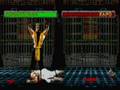 Human Cyrax Simple Kick Decapitation