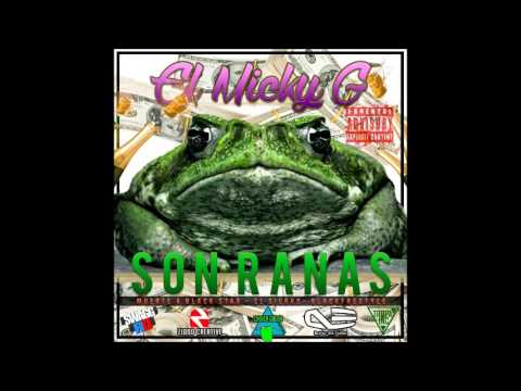Micky G 420 - Son Ranas