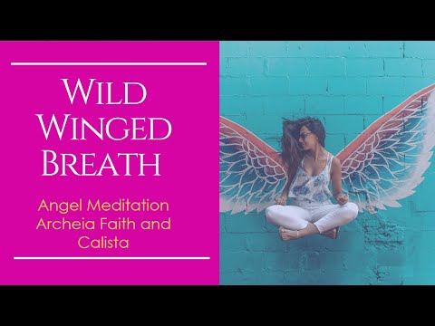 Wild Winged Breath | Angel Meditation Archeia Faith and Calista ✨