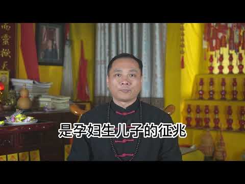 懷孕夢到蛇