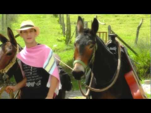 HEIDER GONZALEZ -  EL ULTIMO ARRIERO