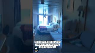 You Return to Your Cruise Cabin and See THIS 😳🚢