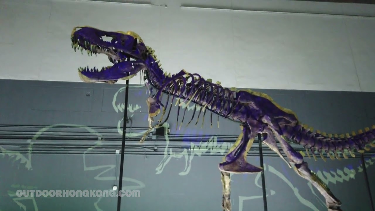 See the Energy Machine and other exciting hands-on displays.