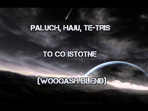 Paluch,Haju,Te-Tris - To co istotne (Wooqash Blend)