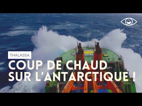 Coup de chaud sur l'Antarctique ! Thalassa