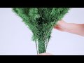 Albero di Natale Sottile con Legno Vero e Pigne Verde 150cm PVC - Foto miniatura 1
