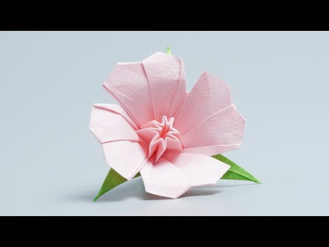 Origami Evening Primrose / Flower 🌺 By KOMIYA Hajime 摺紙 月見草 花 折り紙 はな