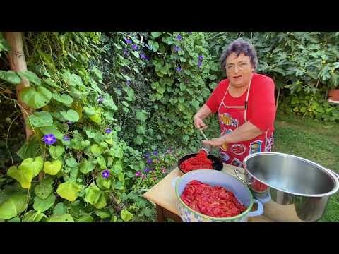 AJVAR- Recepti- septembar 2023