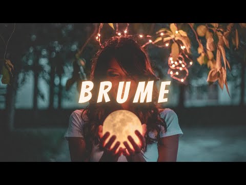 [FREE] | Brume | Trap Instrumental | Meryl x Ninho type beat