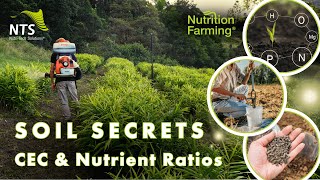 Soil Secrets: Mastering CEC & Nutrient Balance for Maximum Yield - How to S3E10