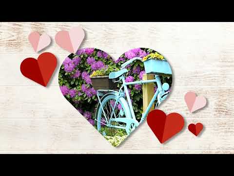 Ta như là Sheet - Thái Hiền