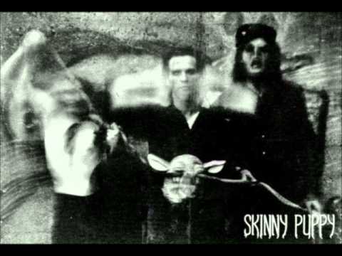 Skinny Puppy - Dig It (raw version)