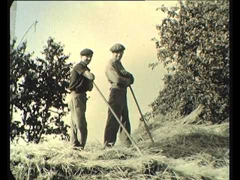 Meisson e escodre a Cassanhetas