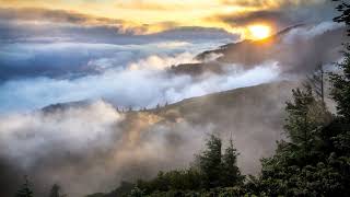 Paul Carrack - Don&#39;t Shed A Tear