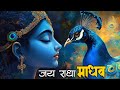 जय राधा माधव जय कुंज बिहारी Jay Radha Madhav Jay Kunj Bi