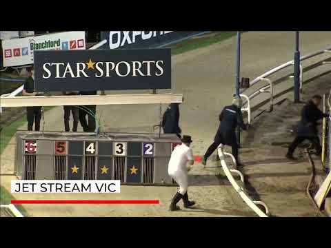 Jet Stream Vic - STARSPORTS BET PIPPED AT THE POST