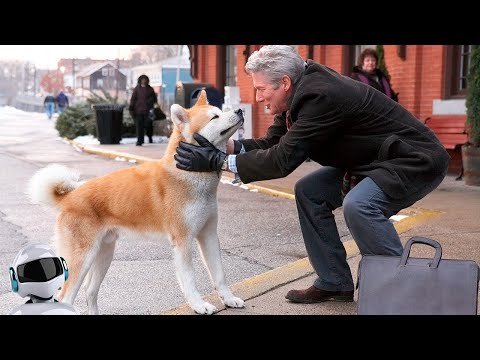 САМЫЕ ПРЕДАННЫЕ ПОРОДЫ СОБАК В МИРЕ / ТОП 10