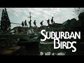 《郊區的鳥 suburban birds》國際版預告 international trailer