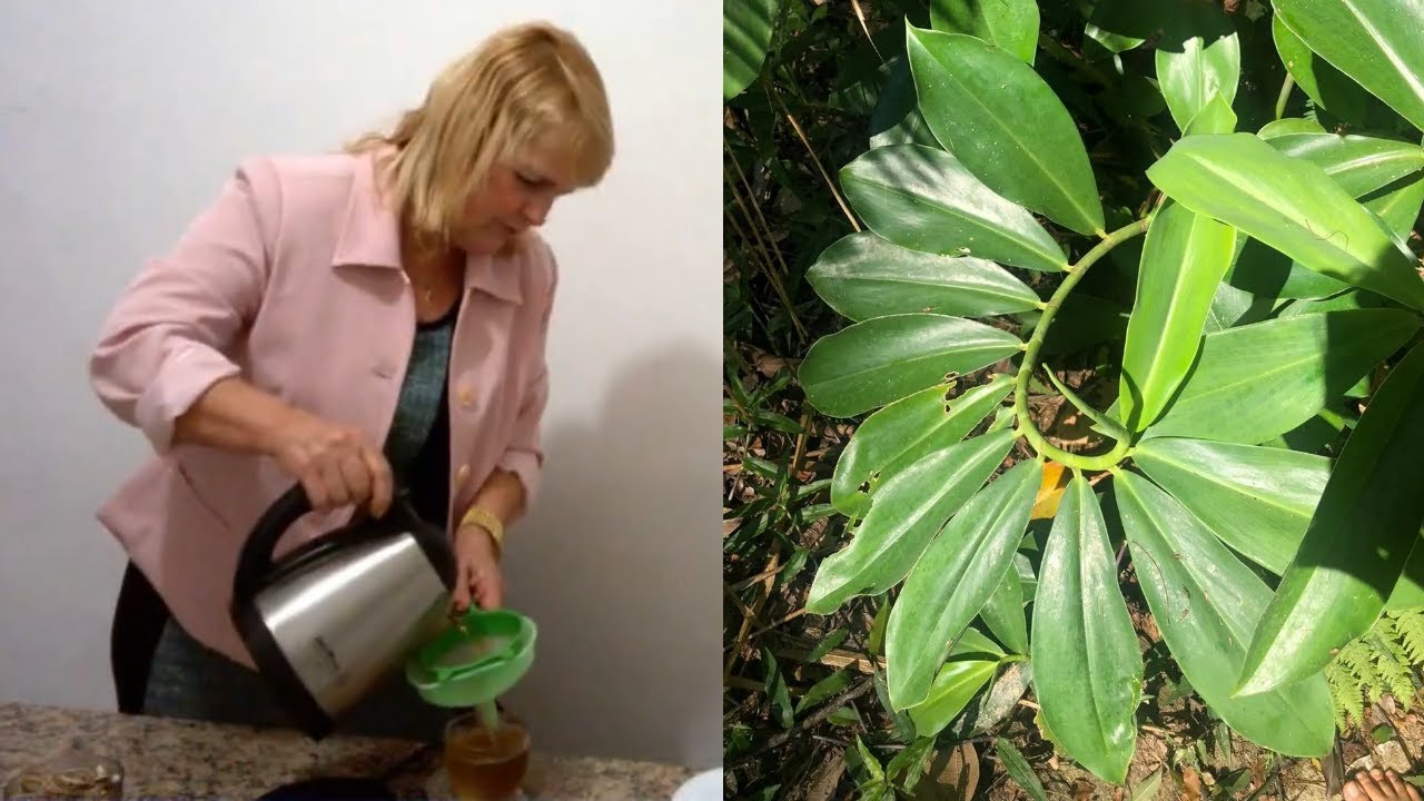 Dissolve Pedras nos Rins, e Acaba com Infecção e Inflamação #Remédio Caseiro 💖 MARILENE SARAH FIALHO