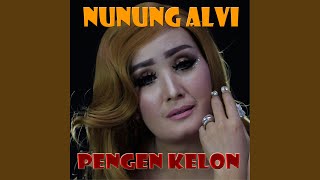 Download lagu Pengen Kelon mp3