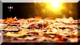 To Let You In Instrumental Version ~ Volcan Peaks