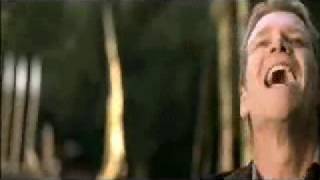 Steven Curtis Chapman - Remembering You