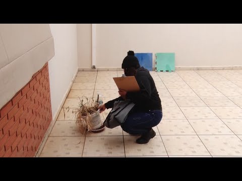Rio Claro registra casos de chikungunya e aumento da dengue