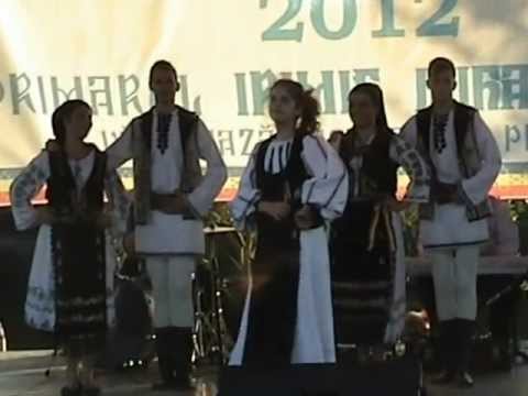 ZILELE COMUNEI SOIMUS