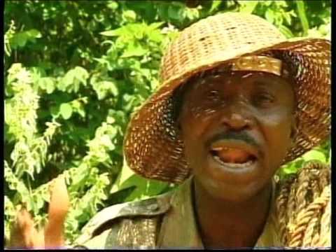 João Seria - Pláto Suzu