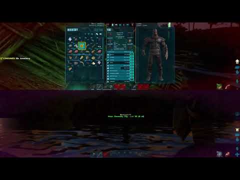 Ark Ragnarok:Episode 8, 2 player