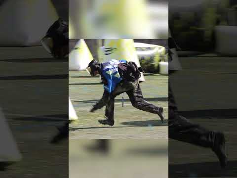 Clayton Rizzardo getting into the snake