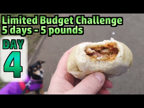Limited Budget Challenge - £5 for 5 Days - DAY 4
